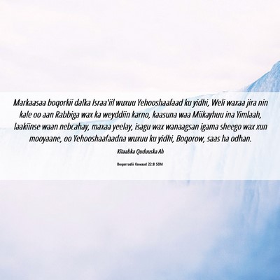 Picture 06 - Boqorradii Kowaad 22:8 SOM - Markaasaa boqorkii dalka Israa'iil wuxuu - Bible Verse Picture