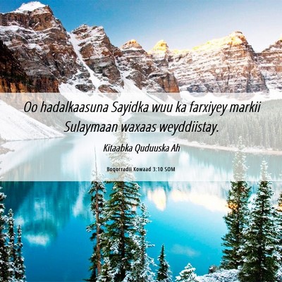 Picture 06 - Boqorradii Kowaad 3:10 SOM - Oo hadalkaasuna Sayidka wuu ka farxiyey markii - Bible Verse Picture
