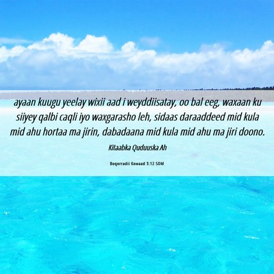 Picture 06 - Boqorradii Kowaad 3:12 SOM - ayaan kuugu yeelay wixii aad i weyddiisatay, oo - Bible Verse Picture
