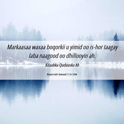 Picture 06 - Boqorradii Kowaad 3:16 SOM - Markaasaa waxaa boqorkii u yimid oo is-hor taagay - Bible Verse Picture