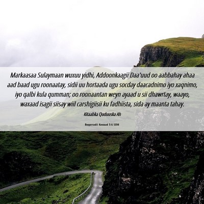 Picture 06 - Boqorradii Kowaad 3:6 SOM - Markaasaa Sulaymaan wuxuu yidhi, Addoonkaagii - Bible Verse Picture