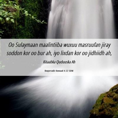 Picture 06 - Boqorradii Kowaad 4:22 SOM - Oo Sulaymaan maalintiiba wuxuu masruufan jiray - Bible Verse Picture