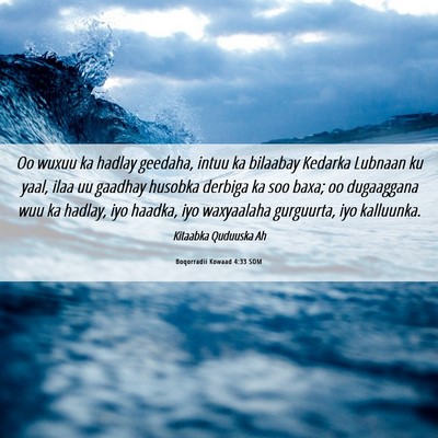 Picture 06 - Boqorradii Kowaad 4:33 SOM - Oo wuxuu ka hadlay geedaha, intuu ka bilaabay - Bible Verse Picture