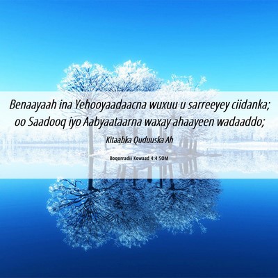 Picture 06 - Boqorradii Kowaad 4:4 SOM - Benaayaah ina Yehooyaadaacna wuxuu u sarreeyey - Bible Verse Picture