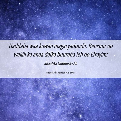 Picture 06 - Boqorradii Kowaad 4:8 SOM - Haddaba waa kuwan magacyadoodii: Benxuur oo - Bible Verse Picture