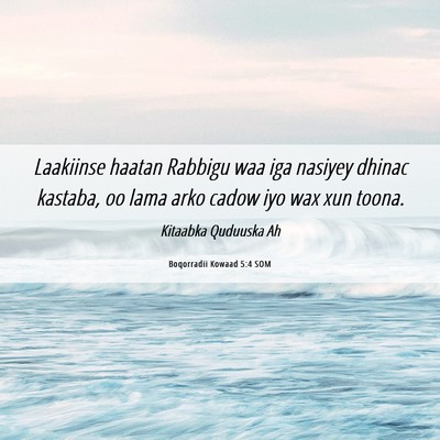 Picture 06 - Boqorradii Kowaad 5:4 SOM - Laakiinse haatan Rabbigu waa iga nasiyey dhinac - Bible Verse Picture