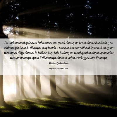 Picture 06 - Boqorradii Kowaad 5:9 SOM - Oo addoommadayda ayaa Lubnaan ka soo qaadi doona, - Bible Verse Picture