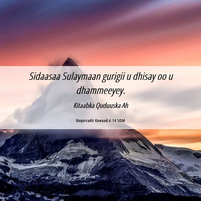 Picture 06 - Boqorradii Kowaad 6:14 SOM - Sidaasaa Sulaymaan gurigii u dhisay oo u - Bible Verse Picture