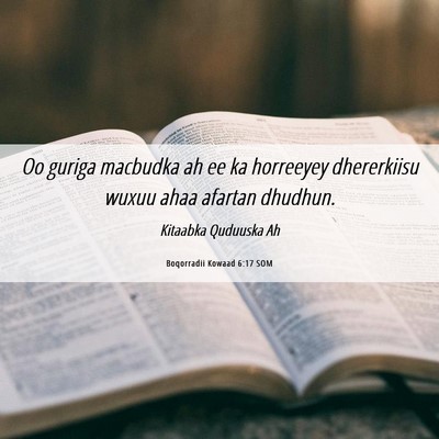 Picture 06 - Boqorradii Kowaad 6:17 SOM - Oo guriga macbudka ah ee ka horreeyey dhererkiisu - Bible Verse Picture