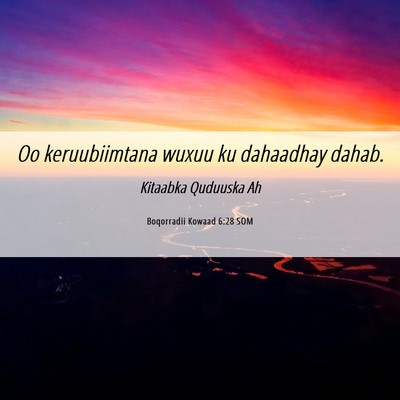 Picture 06 - Boqorradii Kowaad 6:28 SOM - Oo keruubiimtana wuxuu ku dahaadhay - Bible Verse Picture