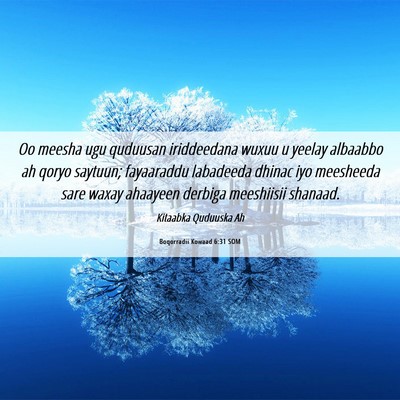 Picture 06 - Boqorradii Kowaad 6:31 SOM - Oo meesha ugu quduusan iriddeedana wuxuu u yeelay - Bible Verse Picture