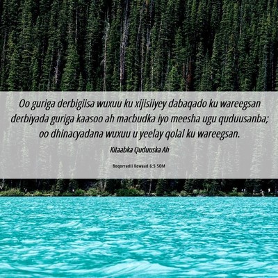 Picture 06 - Boqorradii Kowaad 6:5 SOM - Oo guriga derbigiisa wuxuu ku xijisiiyey dabaqado - Bible Verse Picture