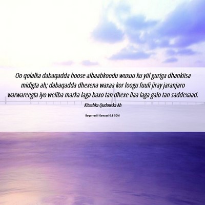 Picture 06 - Boqorradii Kowaad 6:8 SOM - Oo qolalka dabaqadda hoose albaabkoodu wuxuu ku - Bible Verse Picture