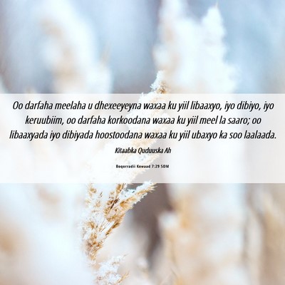 Picture 06 - Boqorradii Kowaad 7:29 SOM - Oo darfaha meelaha u dhexeeyeyna waxaa ku yiil - Bible Verse Picture