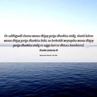 Picture 06 - Boqorradii Kowaad 7:39 SOM - Oo saldhigyadii shanna wuxuu dhigay guriga - Bible Verse Picture
