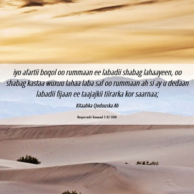 Picture 06 - Boqorradii Kowaad 7:42 SOM - iyo afartii boqol oo rummaan ee labadii shabag - Bible Verse Picture