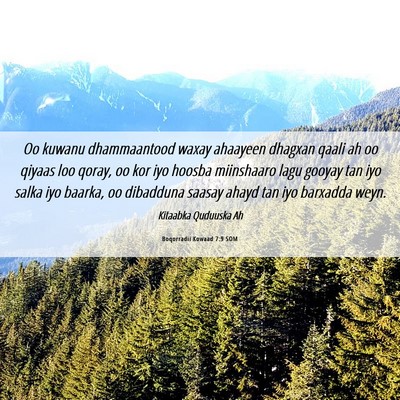 Picture 06 - Boqorradii Kowaad 7:9 SOM - Oo kuwanu dhammaantood waxay ahaayeen dhagxan - Bible Verse Picture