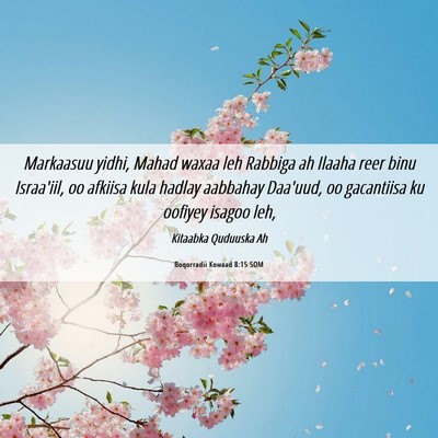 Picture 06 - Boqorradii Kowaad 8:15 SOM - Markaasuu yidhi, Mahad waxaa leh Rabbiga ah - Bible Verse Picture