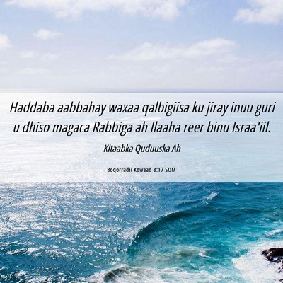 Picture 06 - Boqorradii Kowaad 8:17 SOM - Haddaba aabbahay waxaa qalbigiisa ku jiray inuu - Bible Verse Picture