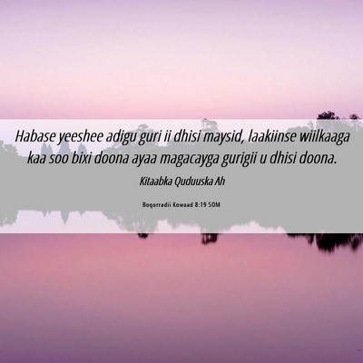 Picture 06 - Boqorradii Kowaad 8:19 SOM - Habase yeeshee adigu guri ii dhisi maysid, - Bible Verse Picture