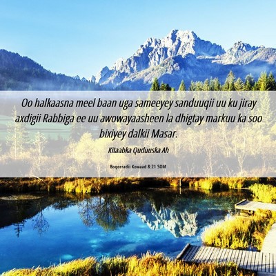 Picture 06 - Boqorradii Kowaad 8:21 SOM - Oo halkaasna meel baan uga sameeyey sanduuqii uu - Bible Verse Picture