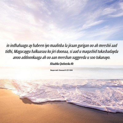 Picture 06 - Boqorradii Kowaad 8:29 SOM - in indhahaagu ay habeen iyo maalinba la jiraan - Bible Verse Picture