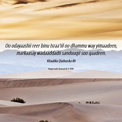 Picture 06 - Boqorradii Kowaad 8:3 SOM - Oo odayaashii reer binu Israa'iil oo dhammu way - Bible Verse Picture