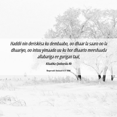 Picture 06 - Boqorradii Kowaad 8:31 SOM - Haddii nin deriskiisa ku dembaabo, oo dhaar la - Bible Verse Picture