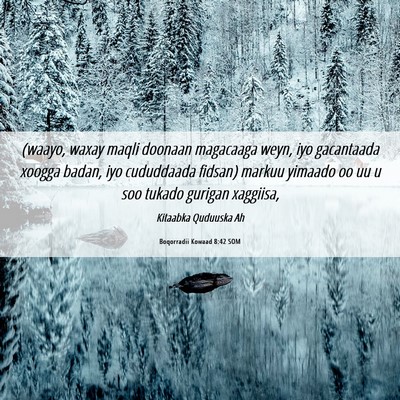 Picture 06 - Boqorradii Kowaad 8:42 SOM - (waayo, waxay maqli doonaan magacaaga weyn, iyo - Bible Verse Picture