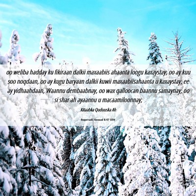 Picture 06 - Boqorradii Kowaad 8:47 SOM - oo weliba hadday ku fikiraan dalkii maxaabiis - Bible Verse Picture