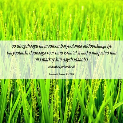 Picture 06 - Boqorradii Kowaad 8:52 SOM - oo dhegahaagu ha maqleen baryootanka addoonkaaga - Bible Verse Picture