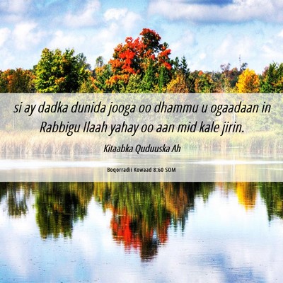 Picture 06 - Boqorradii Kowaad 8:60 SOM - si ay dadka dunida jooga oo dhammu u ogaadaan in - Bible Verse Picture