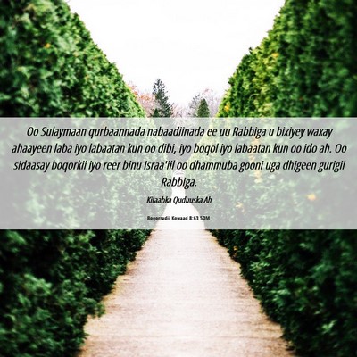 Picture 06 - Boqorradii Kowaad 8:63 SOM - Oo Sulaymaan qurbaannada nabaadiinada ee uu - Bible Verse Picture