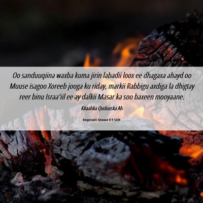 Picture 06 - Boqorradii Kowaad 8:9 SOM - Oo sanduuqiina waxba kuma jirin labadii loox ee - Bible Verse Picture