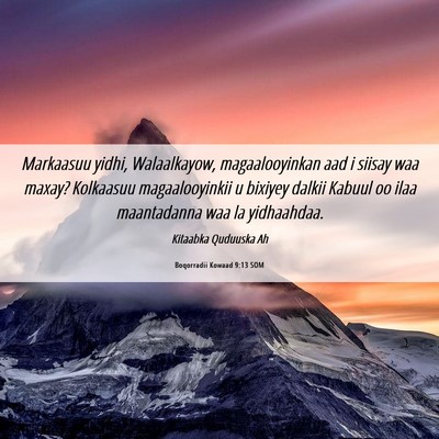 Picture 06 - Boqorradii Kowaad 9:13 SOM - Markaasuu yidhi, Walaalkayow, magaalooyinkan aad - Bible Verse Picture