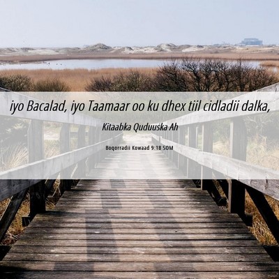 Picture 06 - Boqorradii Kowaad 9:18 SOM - iyo Bacalad, iyo Taamaar oo ku dhex tiil cidladii - Bible Verse Picture