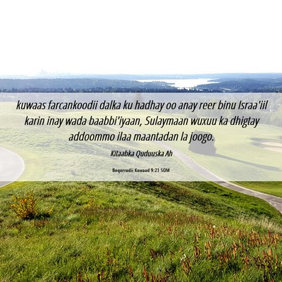 Picture 06 - Boqorradii Kowaad 9:21 SOM - kuwaas farcankoodii dalka ku hadhay oo anay reer - Bible Verse Picture