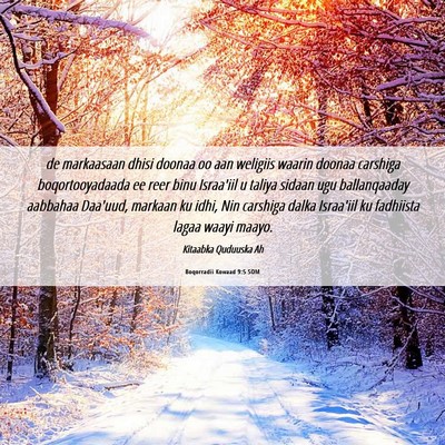 Picture 06 - Boqorradii Kowaad 9:5 SOM - de markaasaan dhisi doonaa oo aan weligiis waarin - Bible Verse Picture
