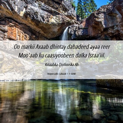 Picture 06 - Boqorradii Labaad 1:1 SOM - Oo markii Axaab dhintay dabadeed ayaa reer - Bible Verse Picture