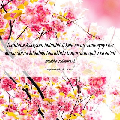 Picture 06 - Boqorradii Labaad 1:18 SOM - Haddaba Axasyaah falimihiisii kale ee uu sameeyey - Bible Verse Picture