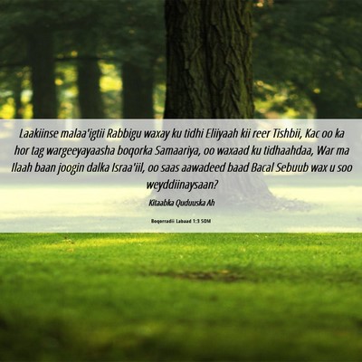 Picture 06 - Boqorradii Labaad 1:3 SOM - Laakiinse malaa'igtii Rabbigu waxay ku tidhi - Bible Verse Picture