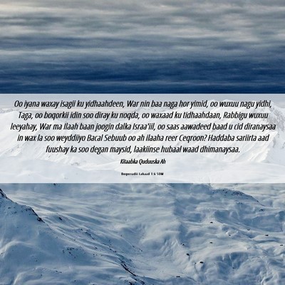 Picture 06 - Boqorradii Labaad 1:6 SOM - Oo iyana waxay isagii ku yidhaahdeen, War nin baa - Bible Verse Picture