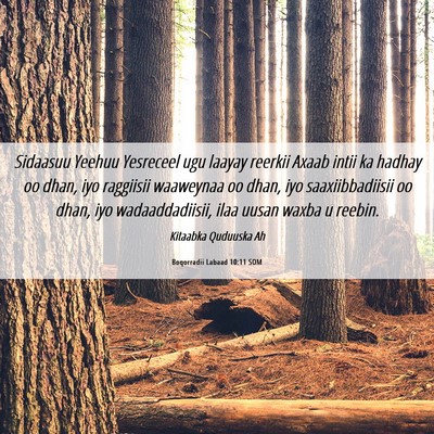Picture 06 - Boqorradii Labaad 10:11 SOM - Sidaasuu Yeehuu Yesreceel ugu laayay reerkii - Bible Verse Picture