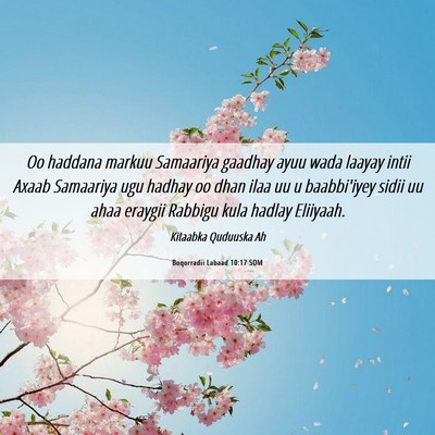 Picture 06 - Boqorradii Labaad 10:17 SOM - Oo haddana markuu Samaariya gaadhay ayuu wada - Bible Verse Picture