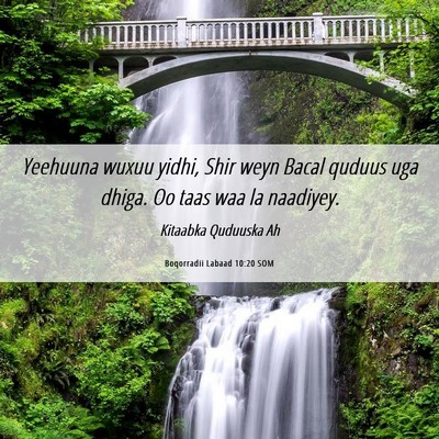 Picture 06 - Boqorradii Labaad 10:20 SOM - Yeehuuna wuxuu yidhi, Shir weyn Bacal quduus uga - Bible Verse Picture
