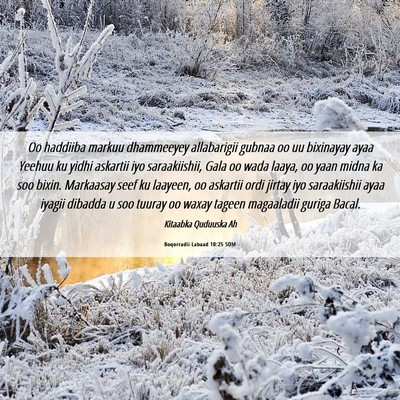 Picture 06 - Boqorradii Labaad 10:25 SOM - Oo haddiiba markuu dhammeeyey allabarigii gubnaa - Bible Verse Picture