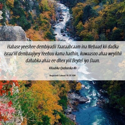 Picture 06 - Boqorradii Labaad 10:29 SOM - Habase yeeshee dembiyadii Yaaraabcaam ina Nebaad - Bible Verse Picture