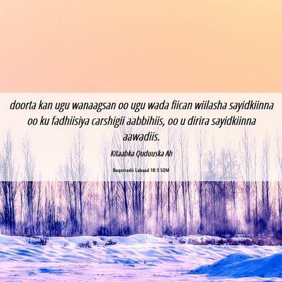 Picture 06 - Boqorradii Labaad 10:3 SOM - doorta kan ugu wanaagsan oo ugu wada fiican - Bible Verse Picture