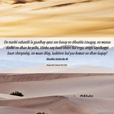 Picture 06 - Boqorradii Labaad 10:9 SOM - Oo markii subaxdii la gaadhay ayuu soo baxay oo - Bible Verse Picture