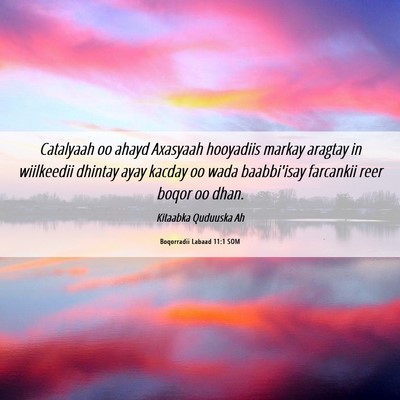 Picture 06 - Boqorradii Labaad 11:1 SOM - Catalyaah oo ahayd Axasyaah hooyadiis markay - Bible Verse Picture
